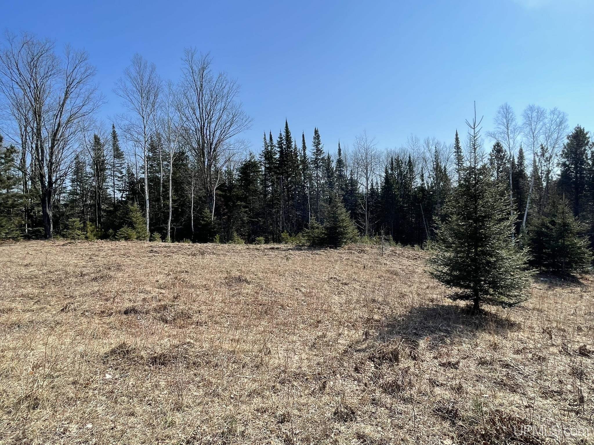 2330 S Little Harbor Road Manistique, MI 49854 - Photo 2 of 55