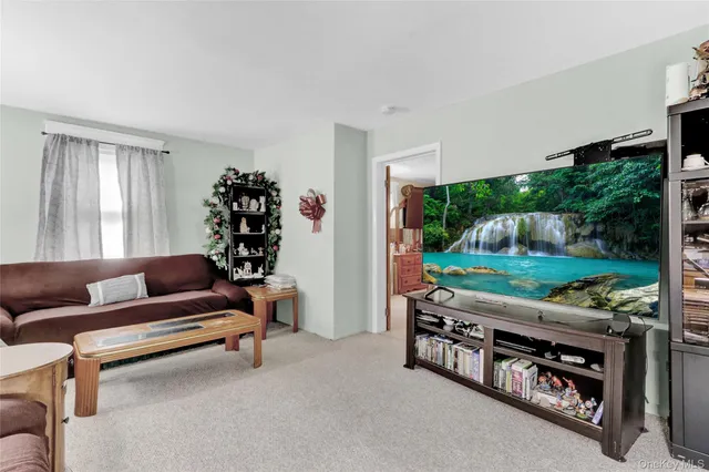 a living room with furniture and a garden