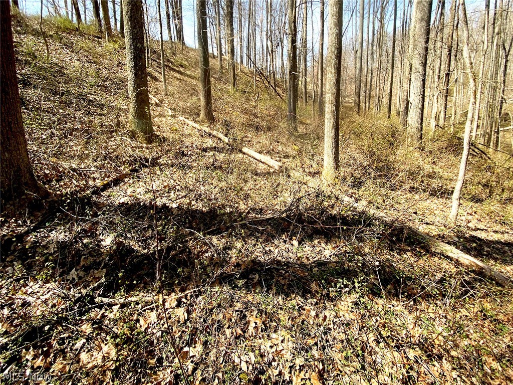0 Township Road Coshocton, OH 43812 - Photo 10 of 24