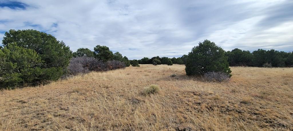 Lot 34 Silver Spur Road Walsenburg, CO 81089 - Photo 32 of 43