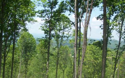 25 Ridgeview Mountain Young Harris, GA 30582 - Photo 1 of 1 Main View