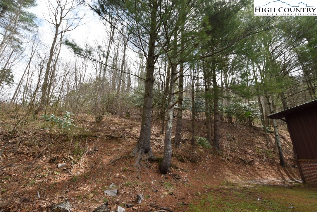 544 Fees Branch Road Lansing, NC 28643 - Photo 29 of 29