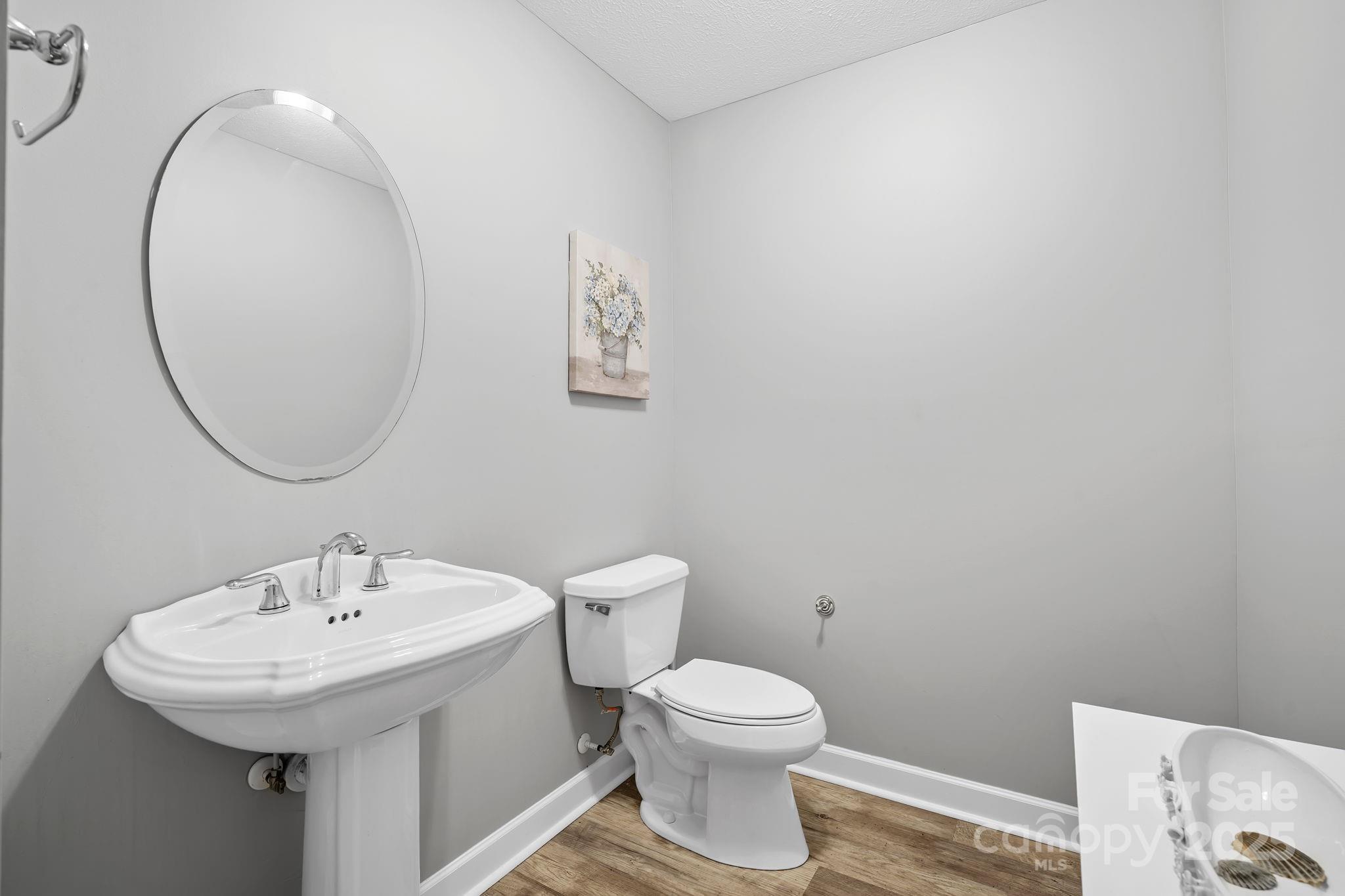 21 Presbyterian Church Road Mills River, NC 28759 - Photo 26 of 48 a bathroom with a sink a toilet and a mirror