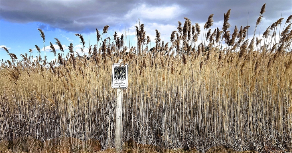 124 Grove Street Barnstable, MA 02635 - Photo 34 of 35