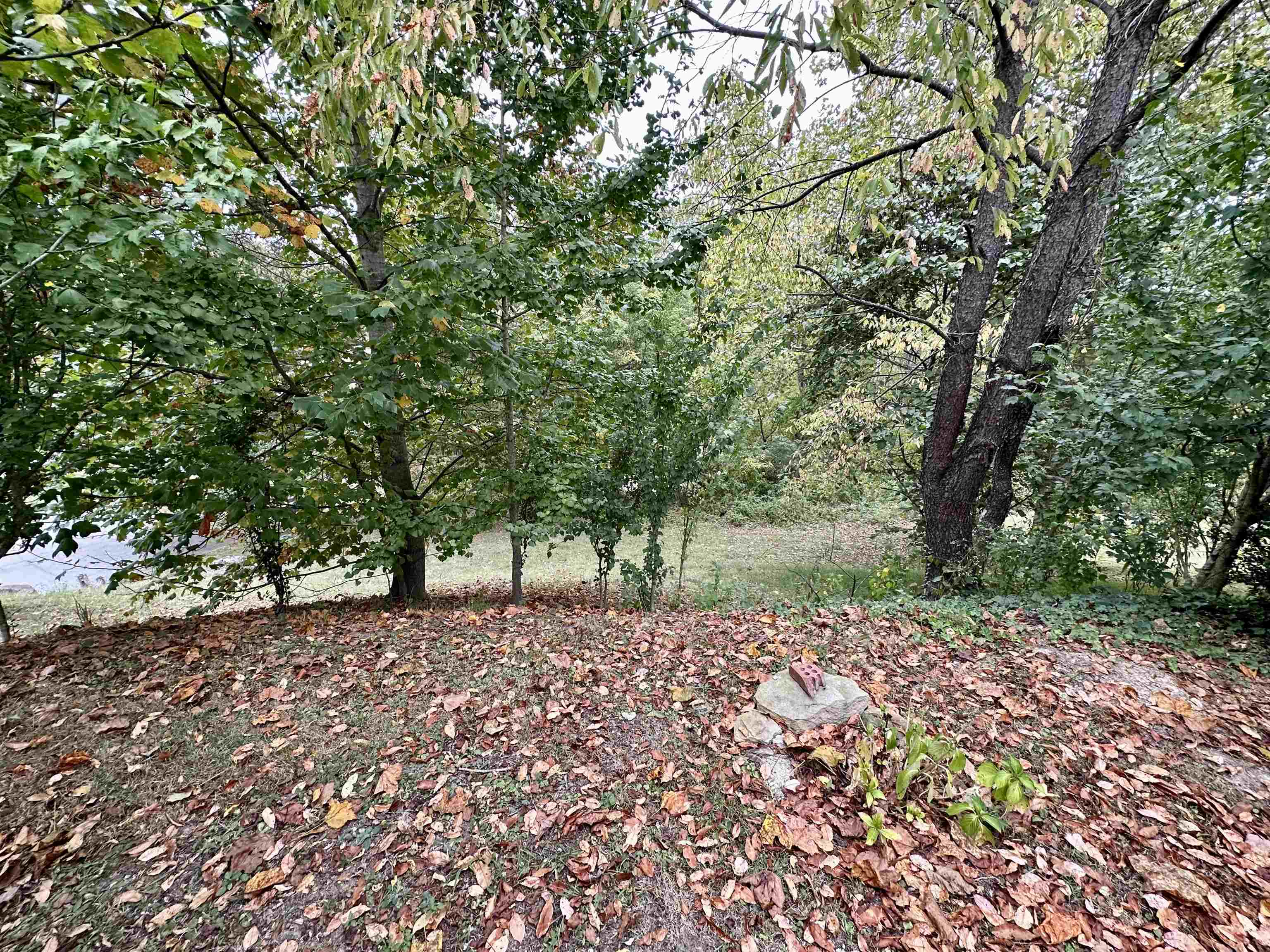 1027 Chippewa Road Ashland, KY 41102 - Photo 25 of 26