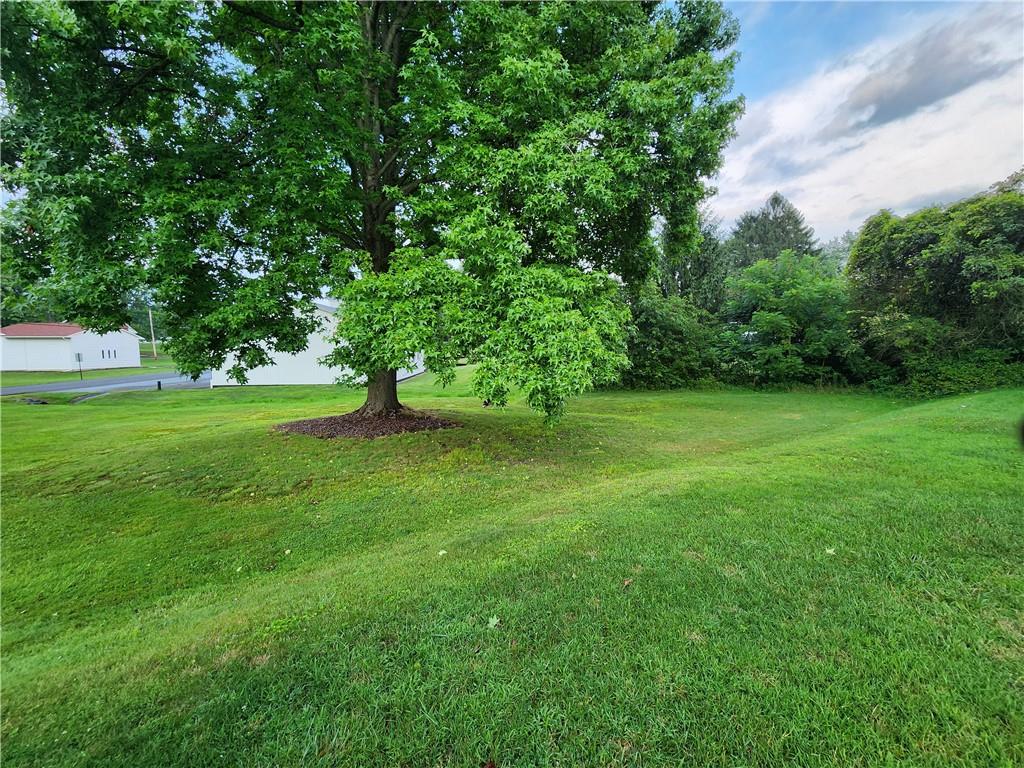 844 Rose Stop Road New Castle, PA 16101 - Photo 27 of 28 a view of a green field with trees in the background