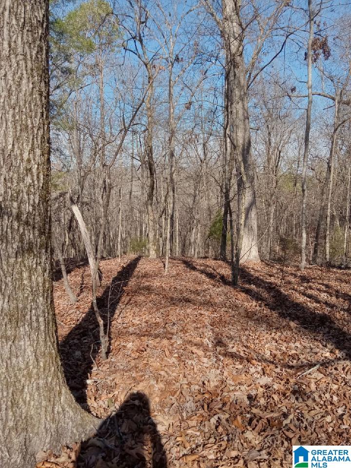 410 Rocky Branch Road Centreville, AL 35042 - Photo 1 of 6