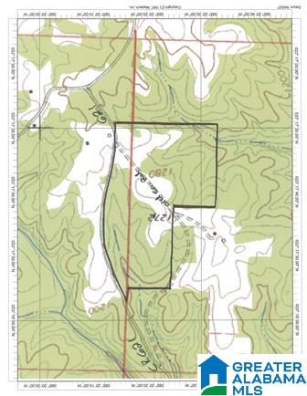 621 County Road, Unit 79 2± ACRES Woodland, AL 36280 - Photo 3 of 3