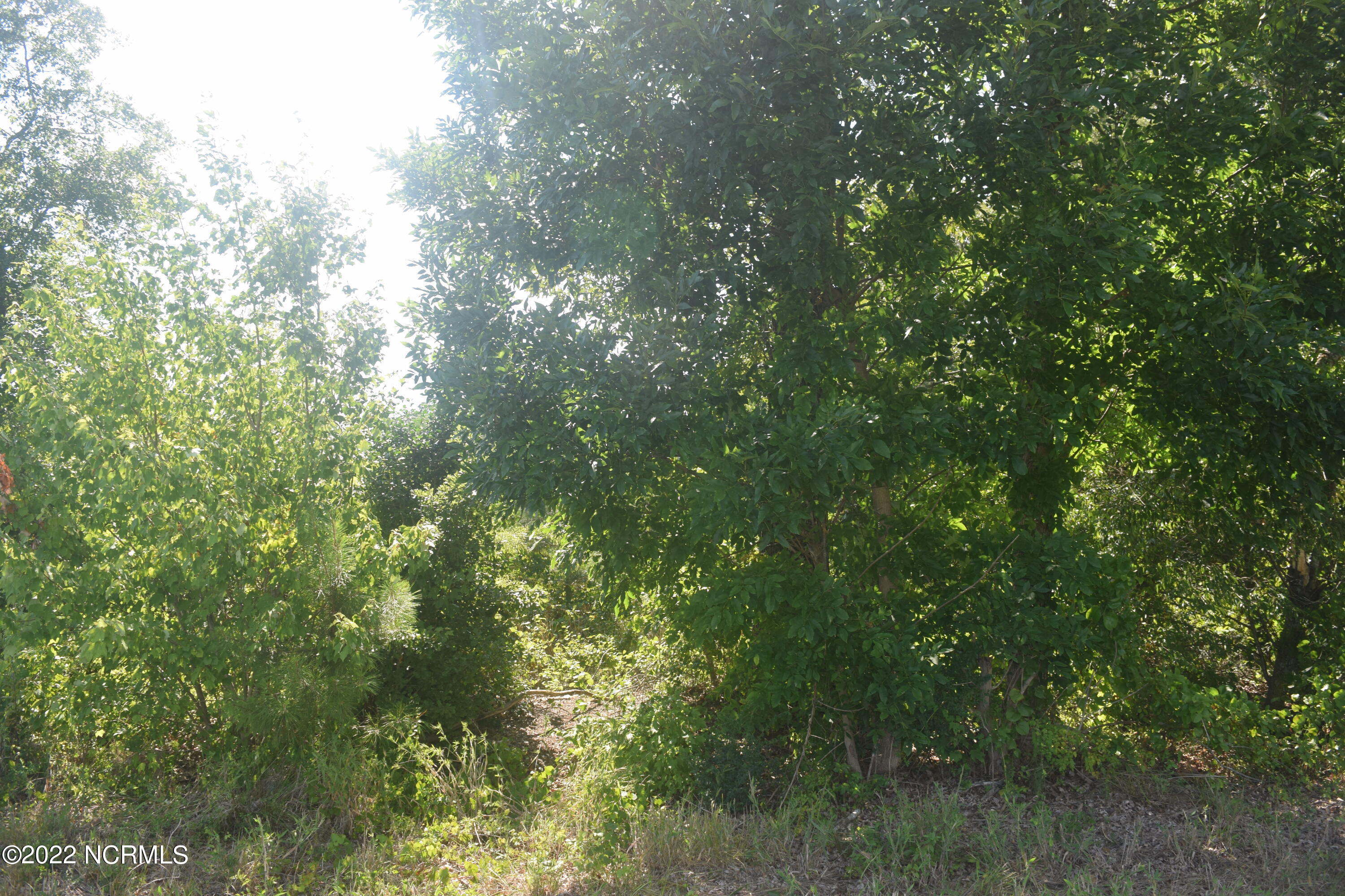 Lot B J Dowdy Road Carthage, NC 28327 - Photo 2 of 4 J Dowdy Road Carthage