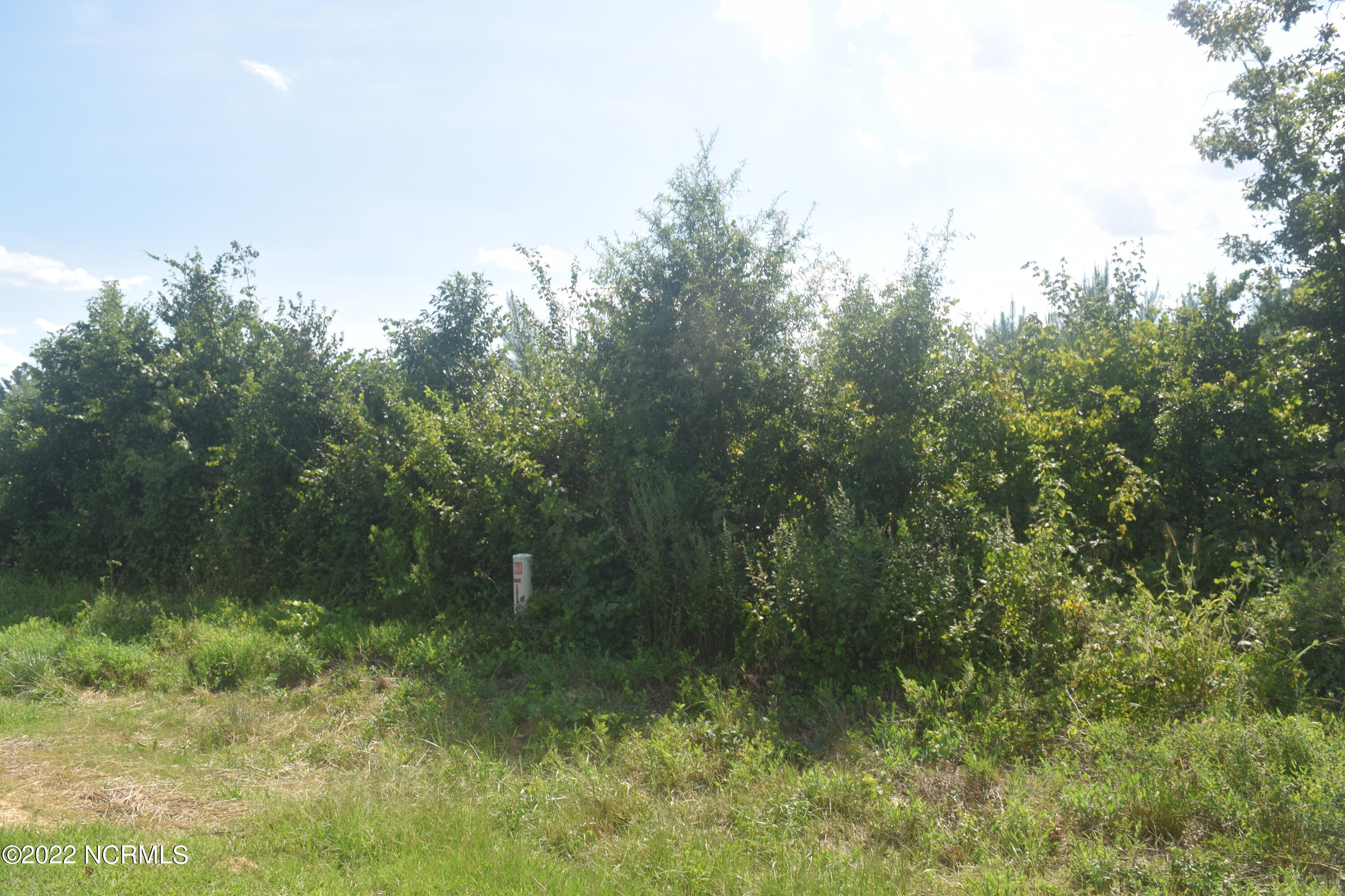 Lot B J Dowdy Road Carthage, NC 28327 - Photo 3 of 4 J Dowdy Road