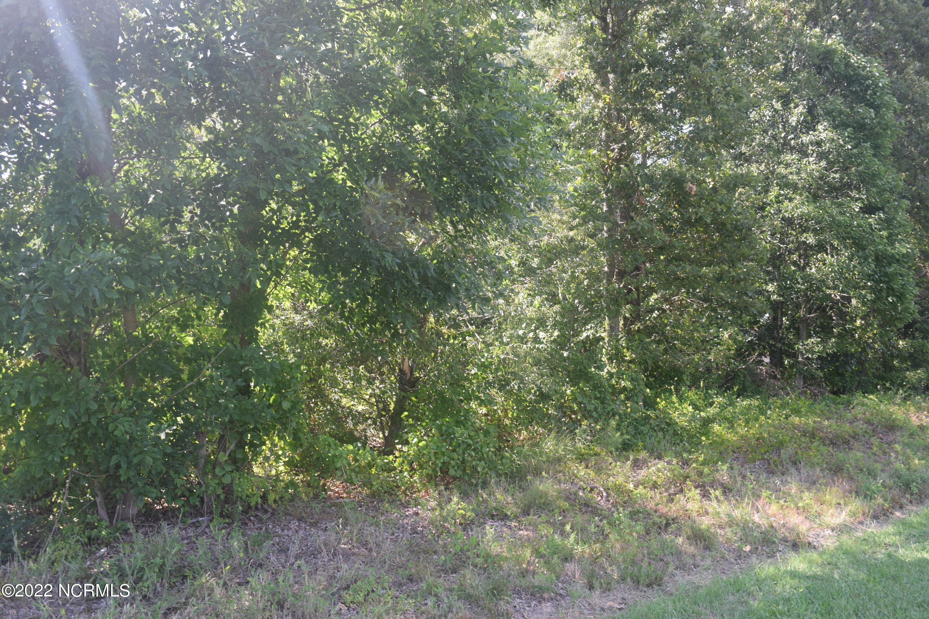 Lot B J Dowdy Road Carthage, NC 28327 - Photo 4 of 4 J Dowdy
