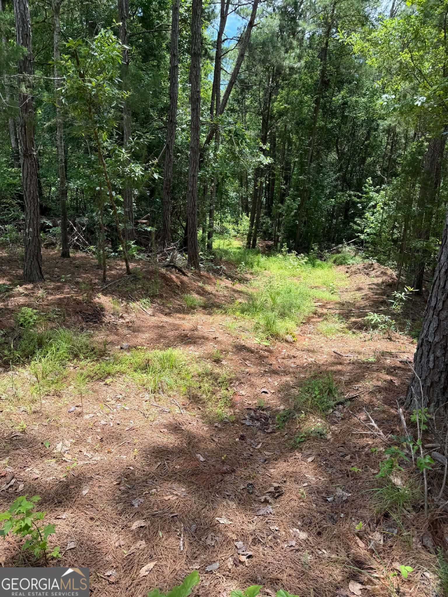 0 Whatley North Road LaGrange, GA 30240 - Photo 7 of 11
