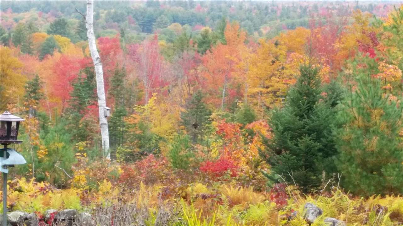 260 Whiteface Road Sandwich, NH 03259 - Photo 19 of 40