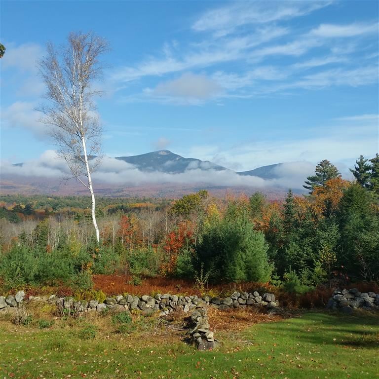 260 Whiteface Road Sandwich, NH 03259 - Photo 9 of 40