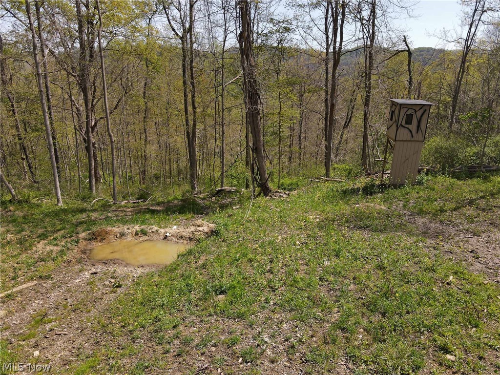 59010 Eldon Road Quaker City, OH 43773 - Photo 9 of 35 Gallery Image 9