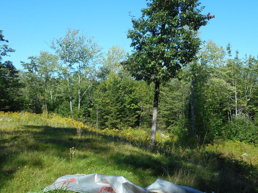 1435 Hostile Valley Road Palermo, ME 04354 - Photo 3 of 8 Lot