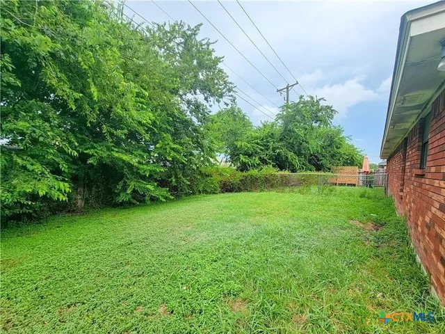 a view of a yard with a trees
