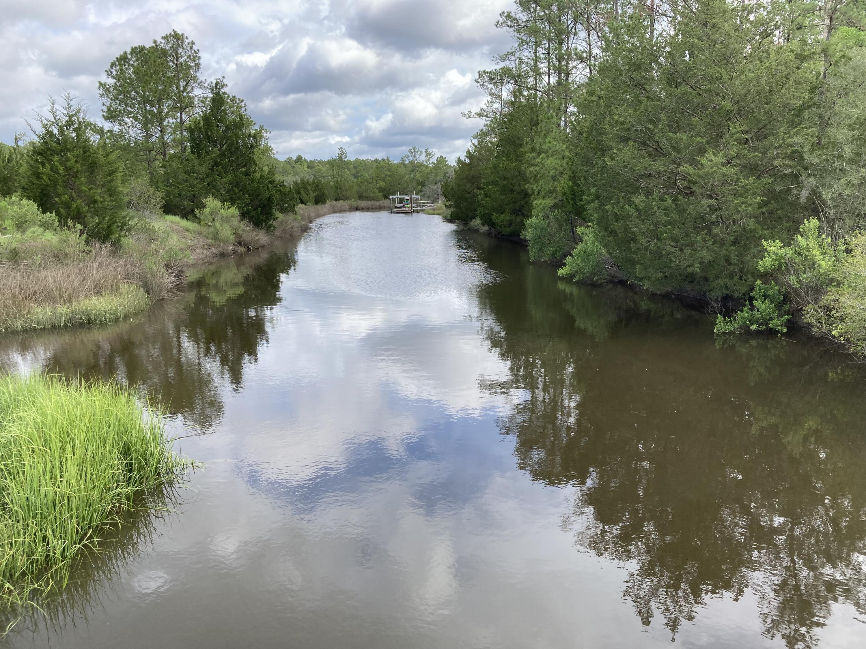0 Sugar Loaf Road Yemassee, SC 29945 - Photo 1 of 9 Canal w/dock