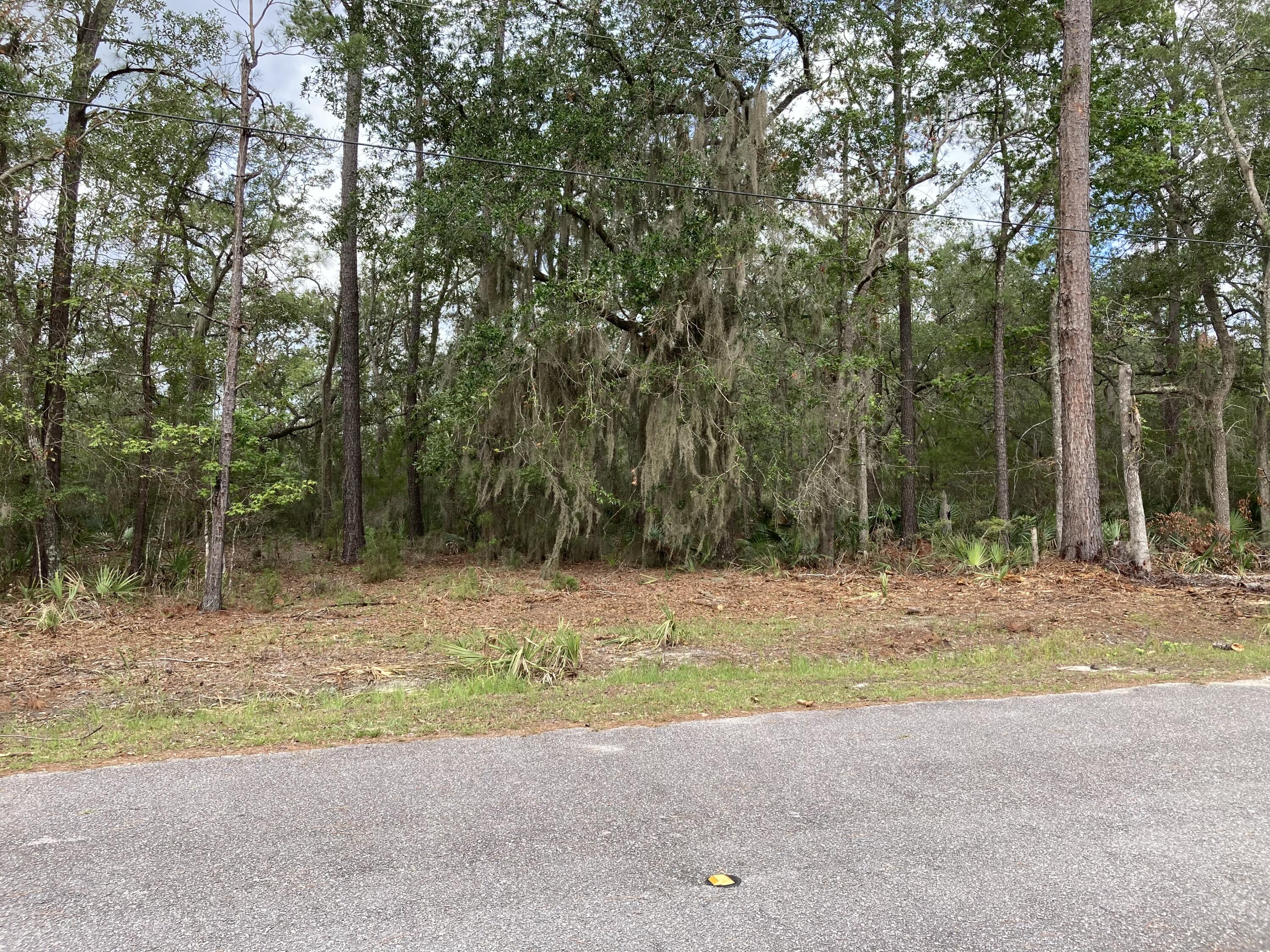0 Sugar Loaf Road Yemassee, SC 29945 - Photo 3 of 9 Center Lot Photo