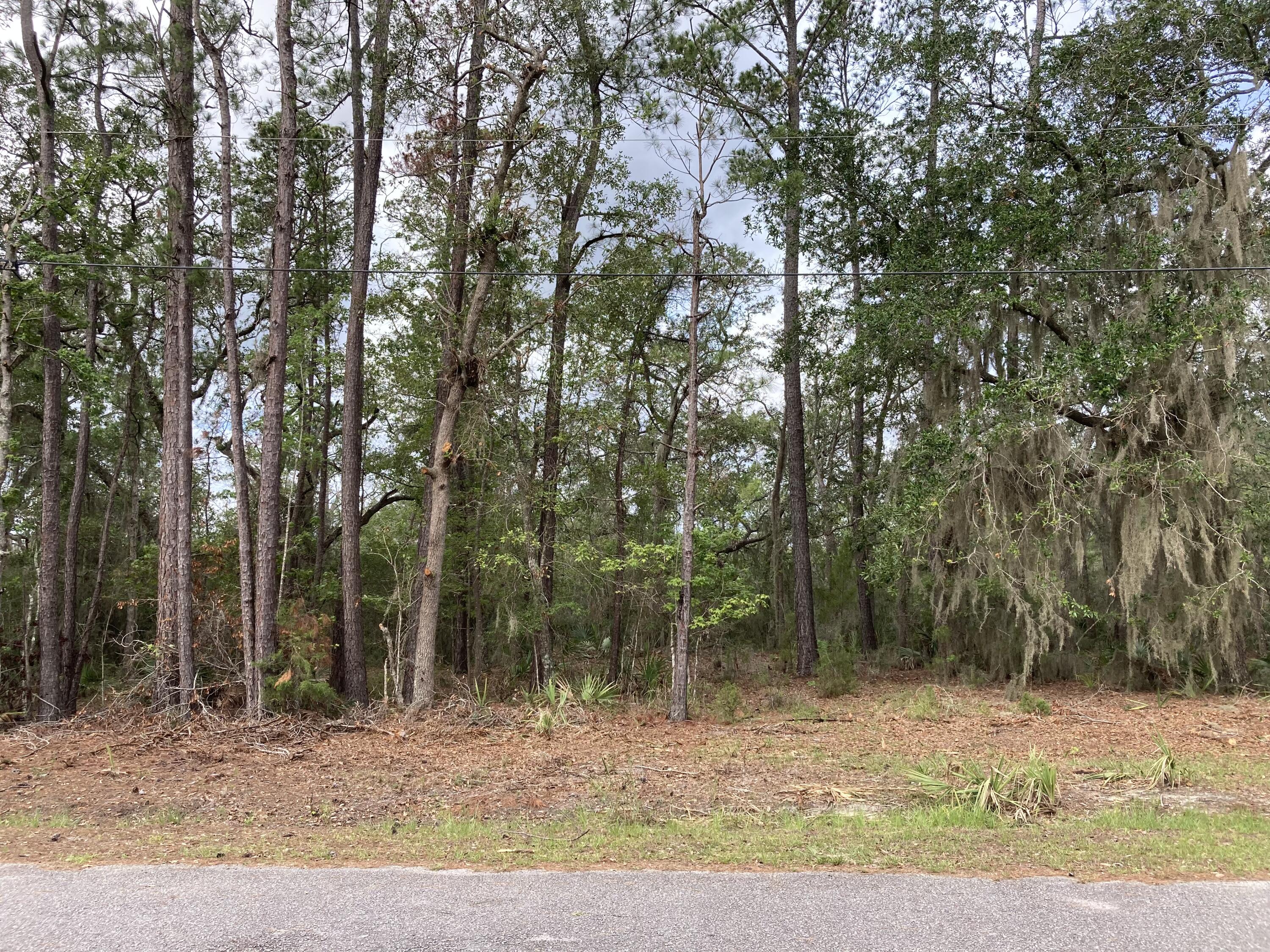0 Sugar Loaf Road Yemassee, SC 29945 - Photo 4 of 9 Left Center