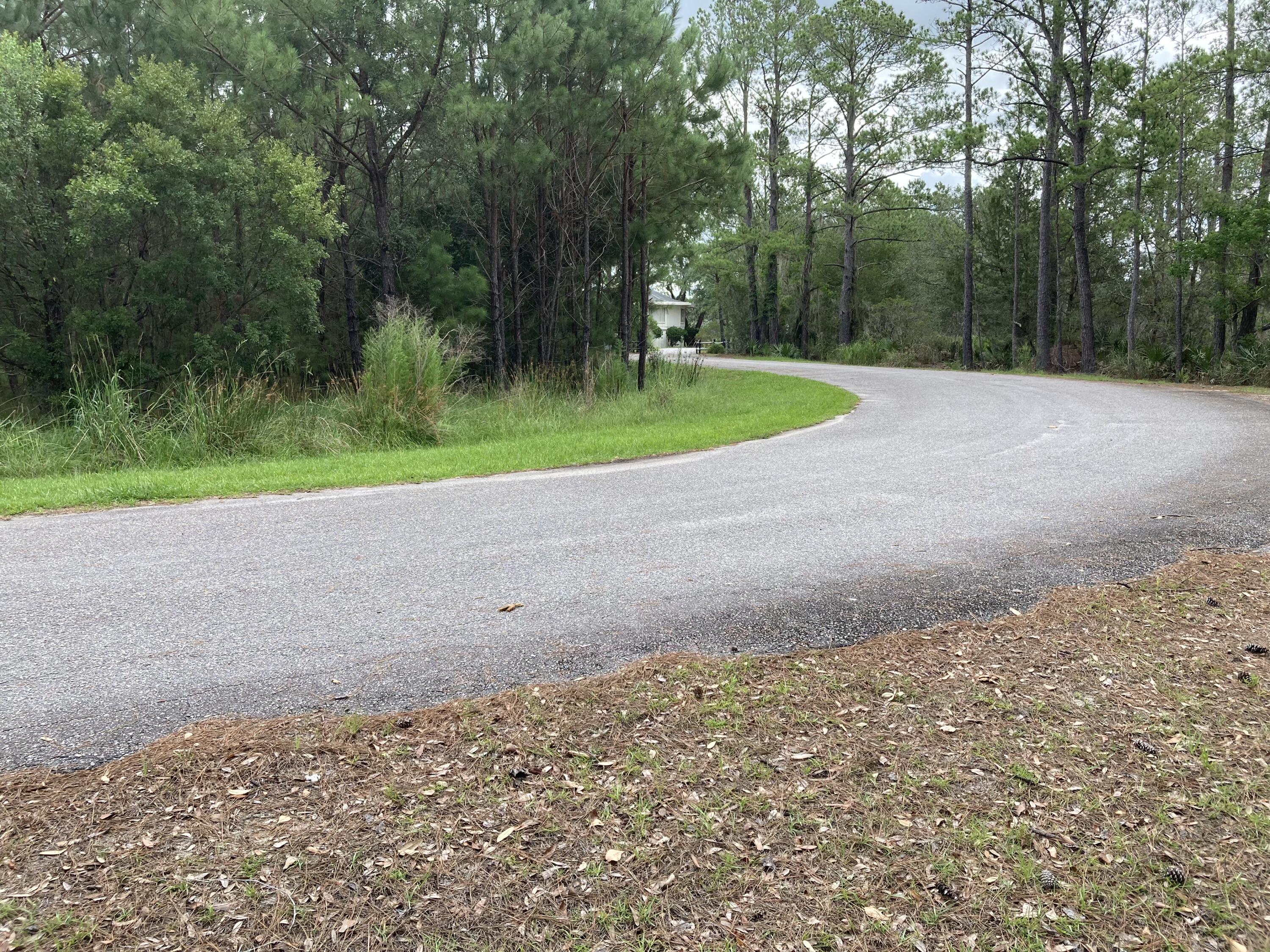 0 Sugar Loaf Road Yemassee, SC 29945 - Photo 5 of 9 Road heading away