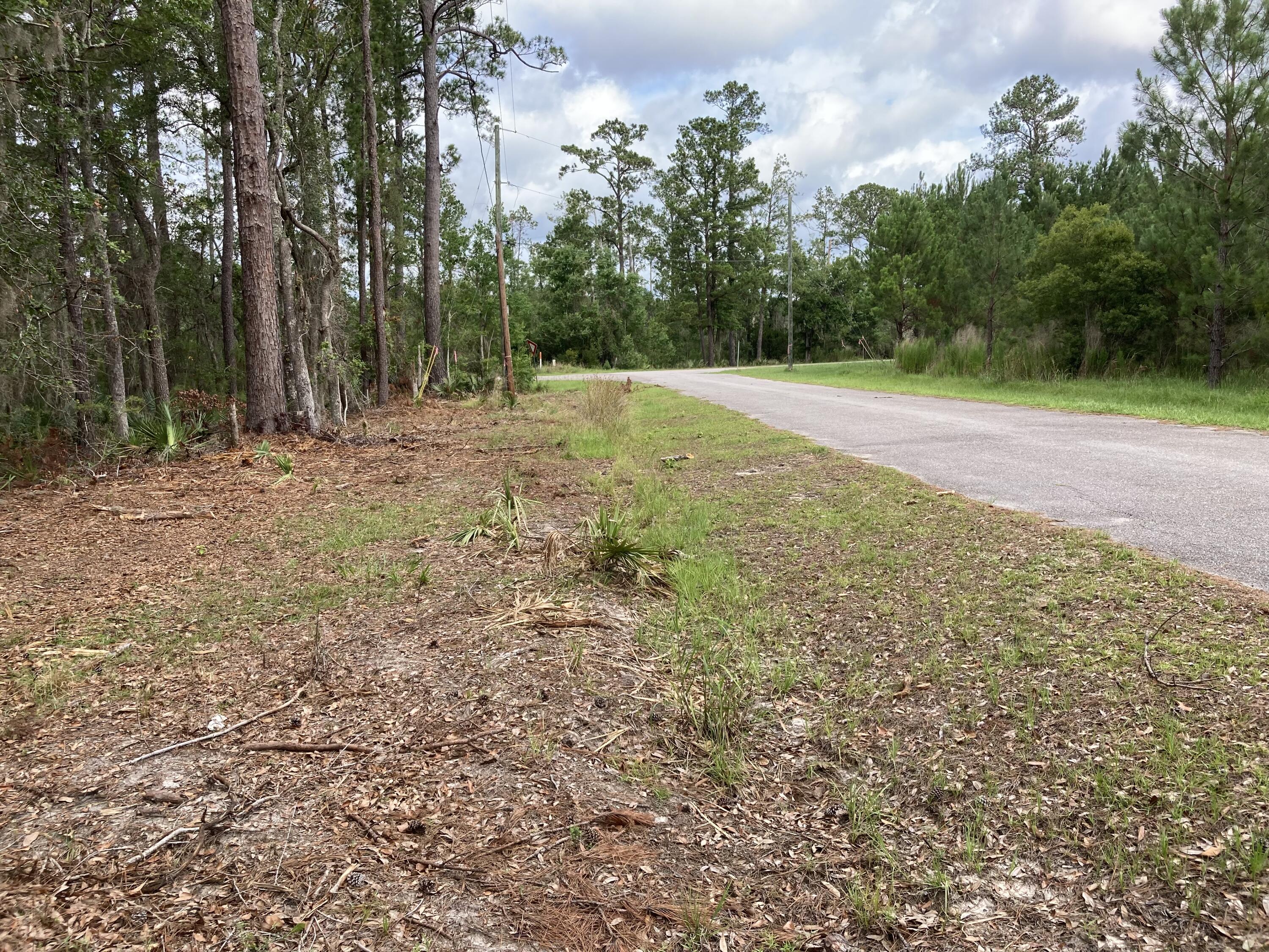 0 Sugar Loaf Road Yemassee, SC 29945 - Photo 6 of 9 Road to property