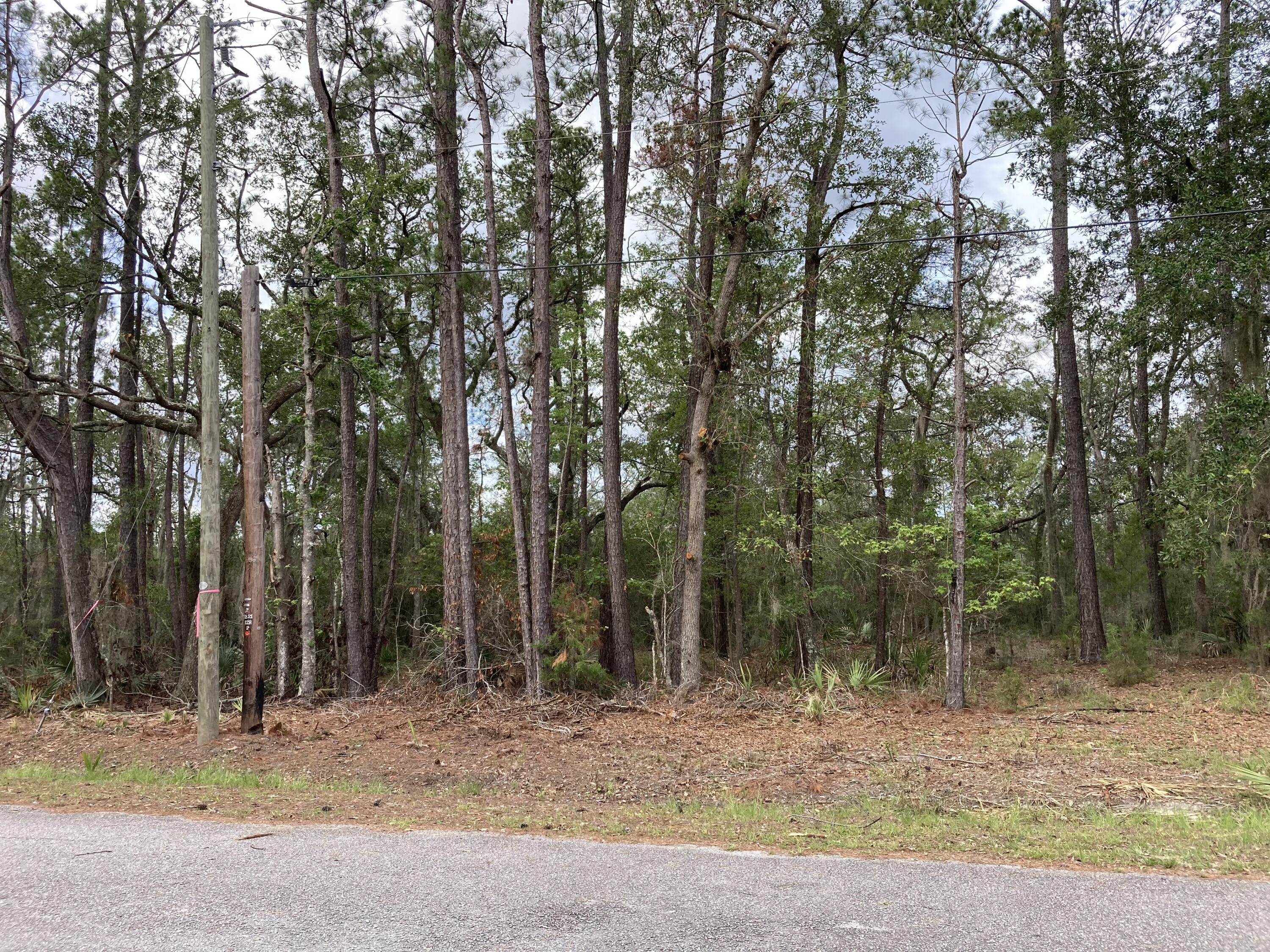 0 Sugar Loaf Road Yemassee, SC 29945 - Photo 7 of 9 Lot View Right