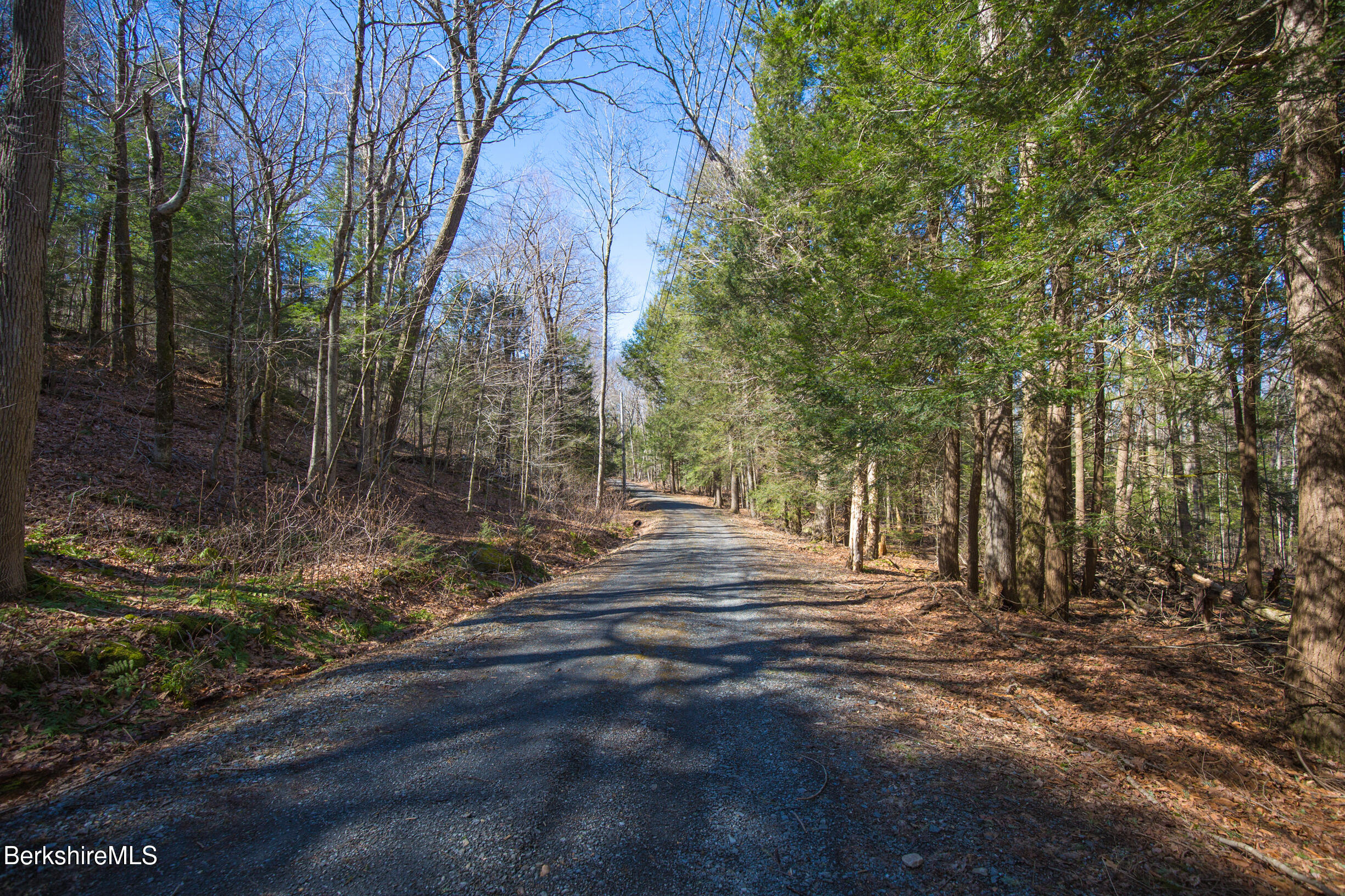 0 Hemlock Road Tyringham, MA 01264 - Photo 5 of 11 a view of backyard with green space