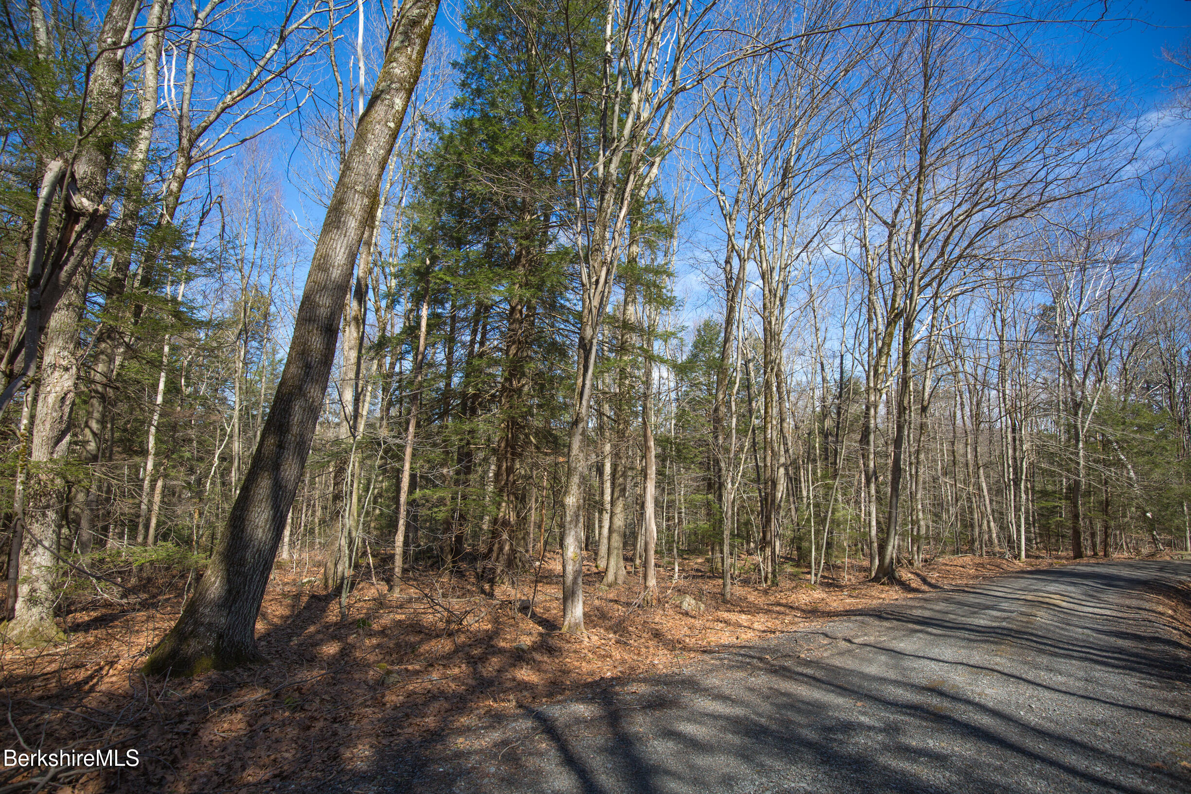 0 Hemlock Road Tyringham, MA 01264 - Photo 7 of 11 a backyard of a house with lots of green space