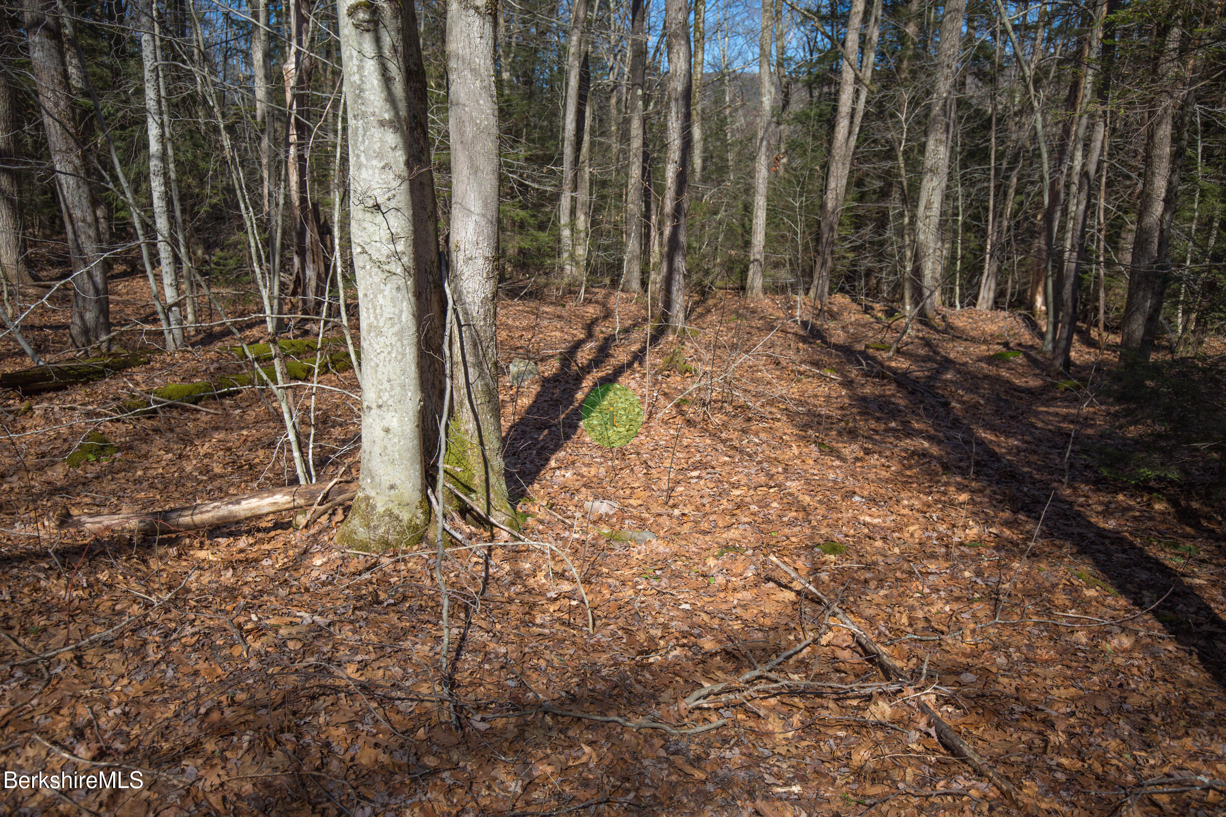 0 Hemlock Road Tyringham, MA 01264 - Photo 9 of 11