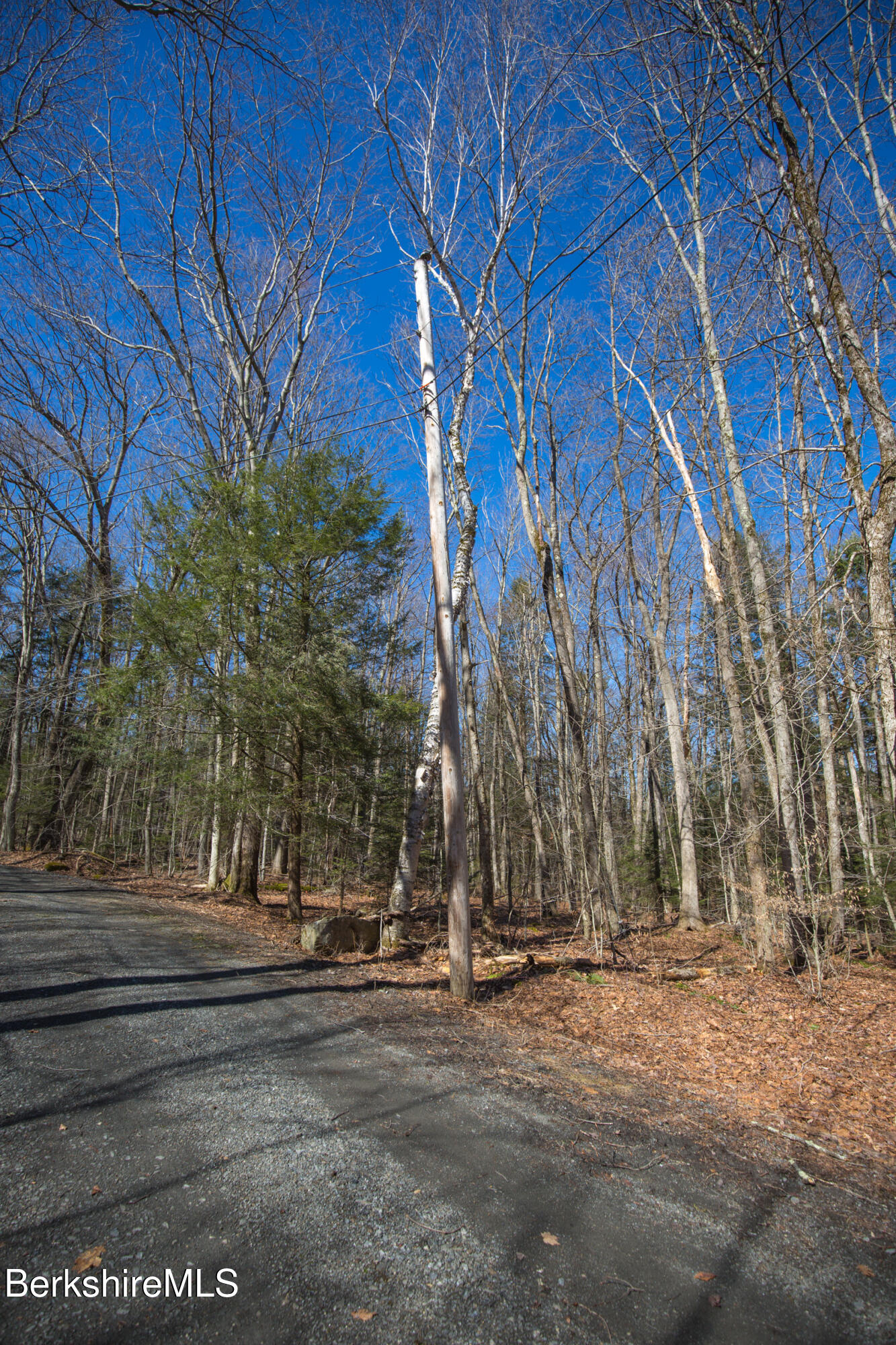 0 Hemlock Road Tyringham, MA 01264 - Photo 10 of 11 a view of road with trees