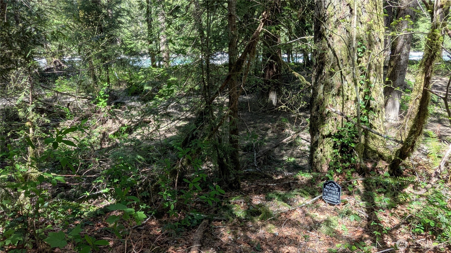 49817 Index-Galena Road Index, WA 98256 - Photo 5 of 12