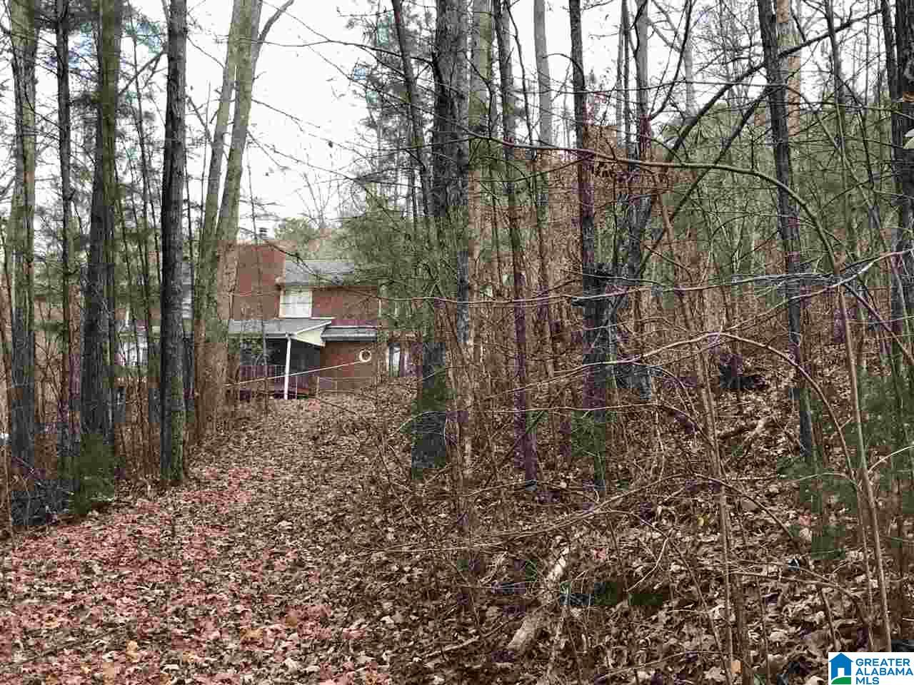 8008 Cedar Mountain Road Pinson, AL 35126 - Photo 13 of 48