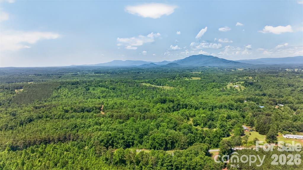 66 Misery Ridge Mill Spring, NC 28756 - Photo 35 of 43