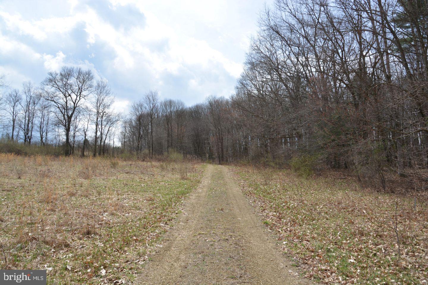 Akers Road Clearville, PA 15535 - Photo 11 of 30 a view of a yard