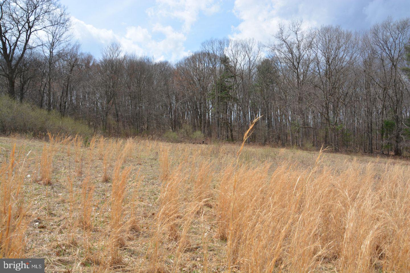 Akers Road Clearville, PA 15535 - Photo 26 of 30 a view of a yard
