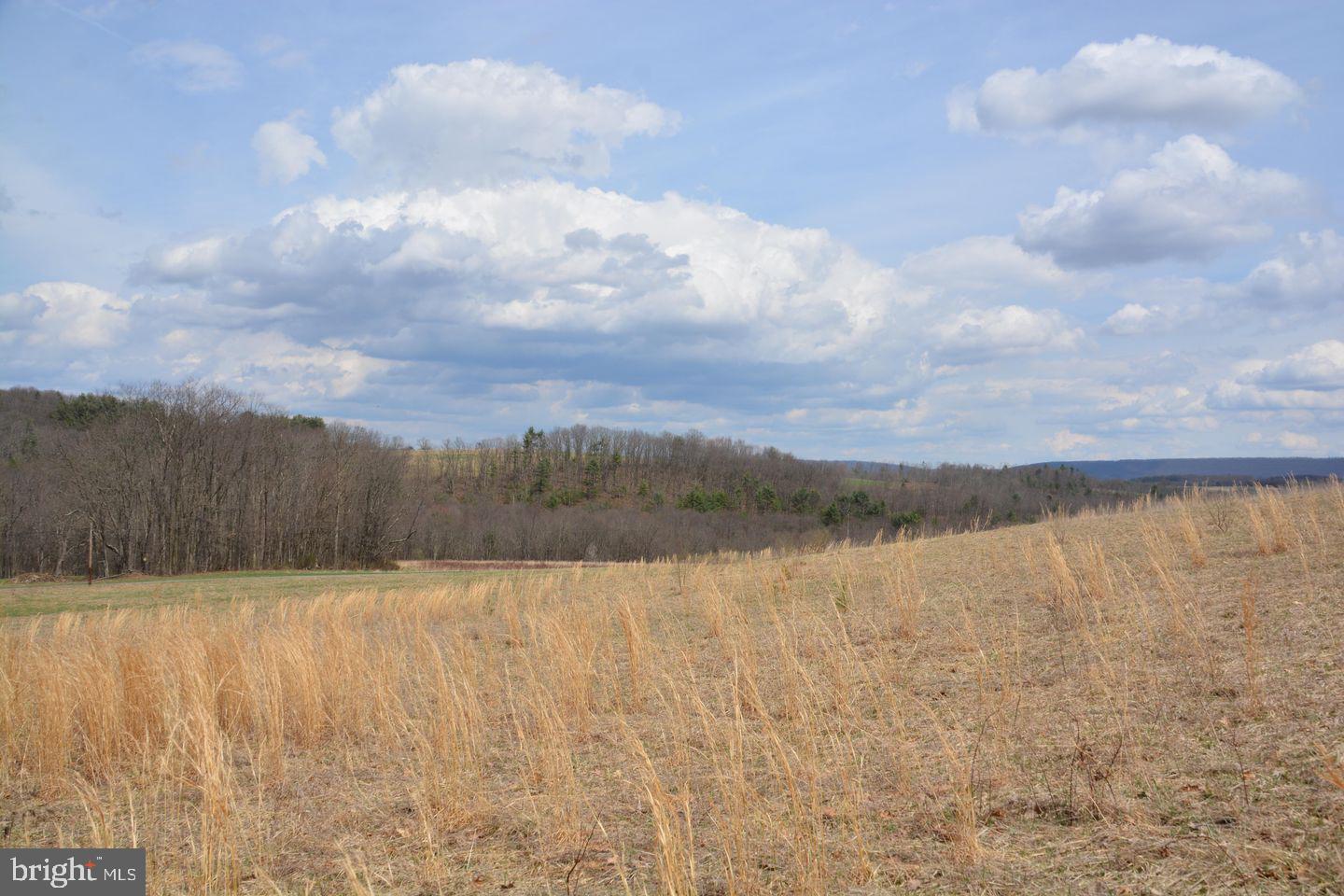 Akers Road Clearville, PA 15535 - Photo 28 of 30 a view of a lake and mountain in the back