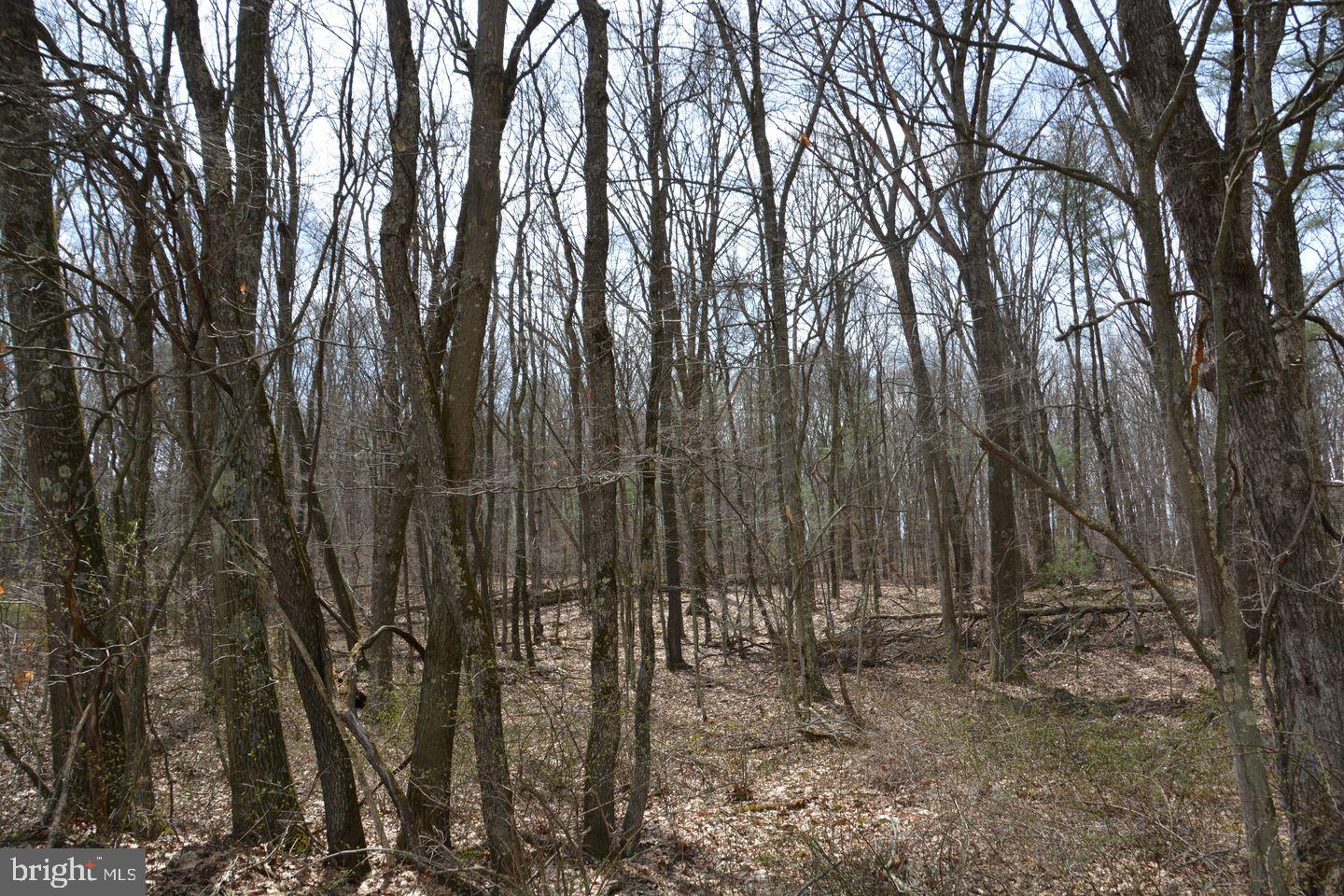Akers Road Clearville, PA 15535 - Photo 4 of 30 a view of outdoor space with lots of trees