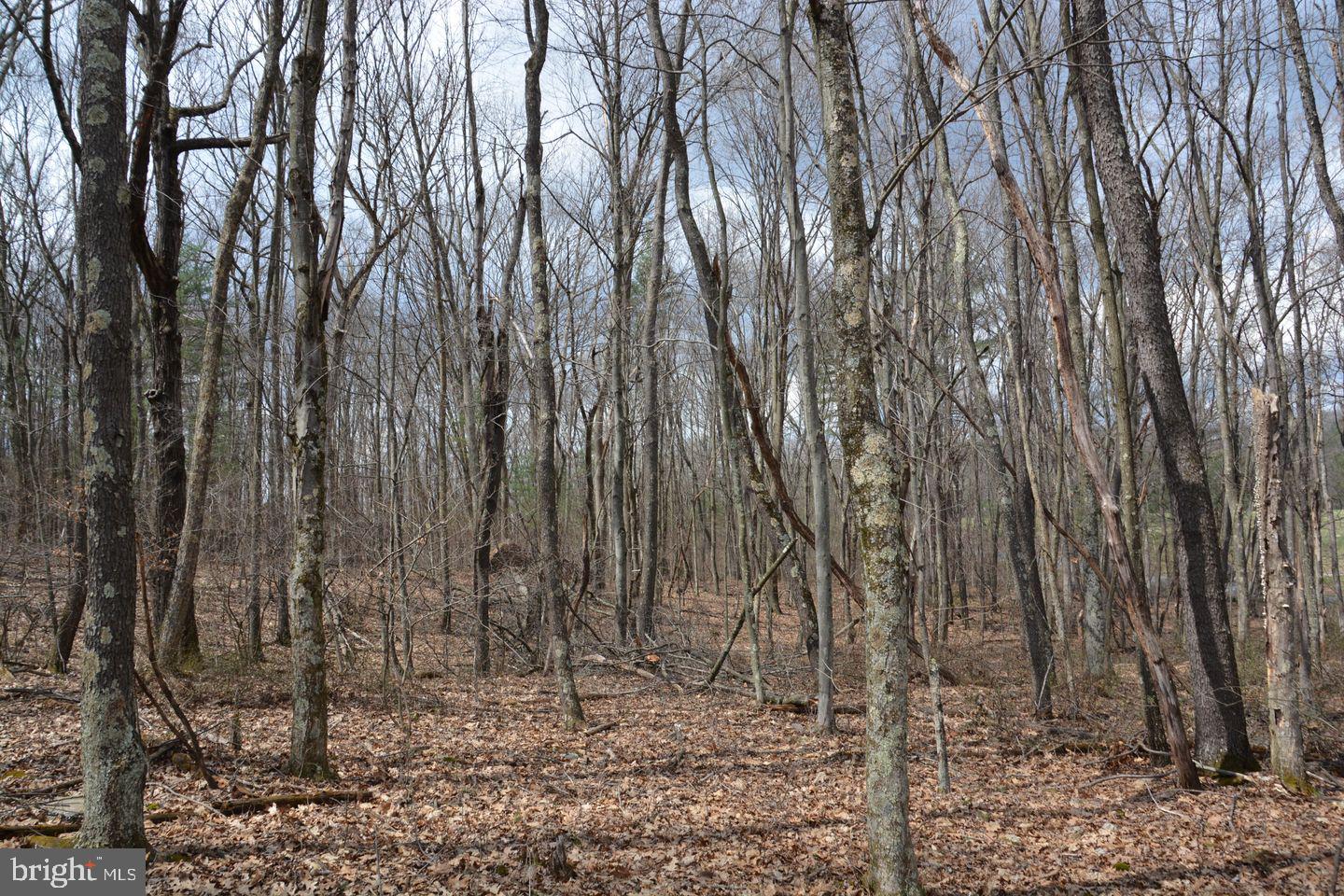 Akers Road Clearville, PA 15535 - Photo 8 of 30 a view of a backyard