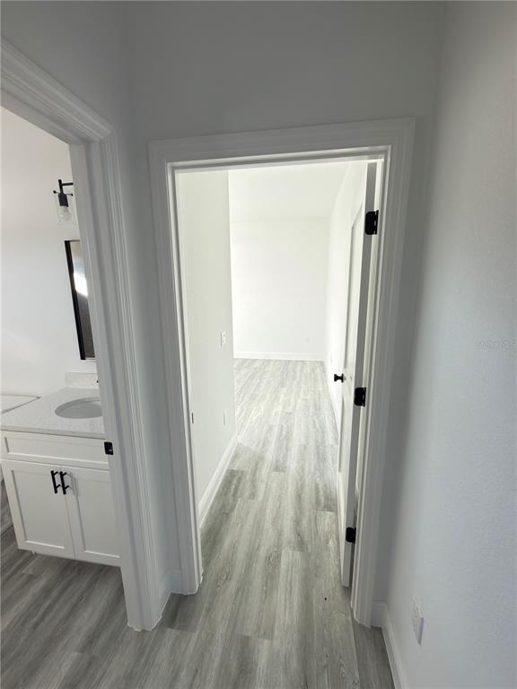 2703 Southwest 162nd Street Road Ocala, FL 34473 - Photo 29 of 39