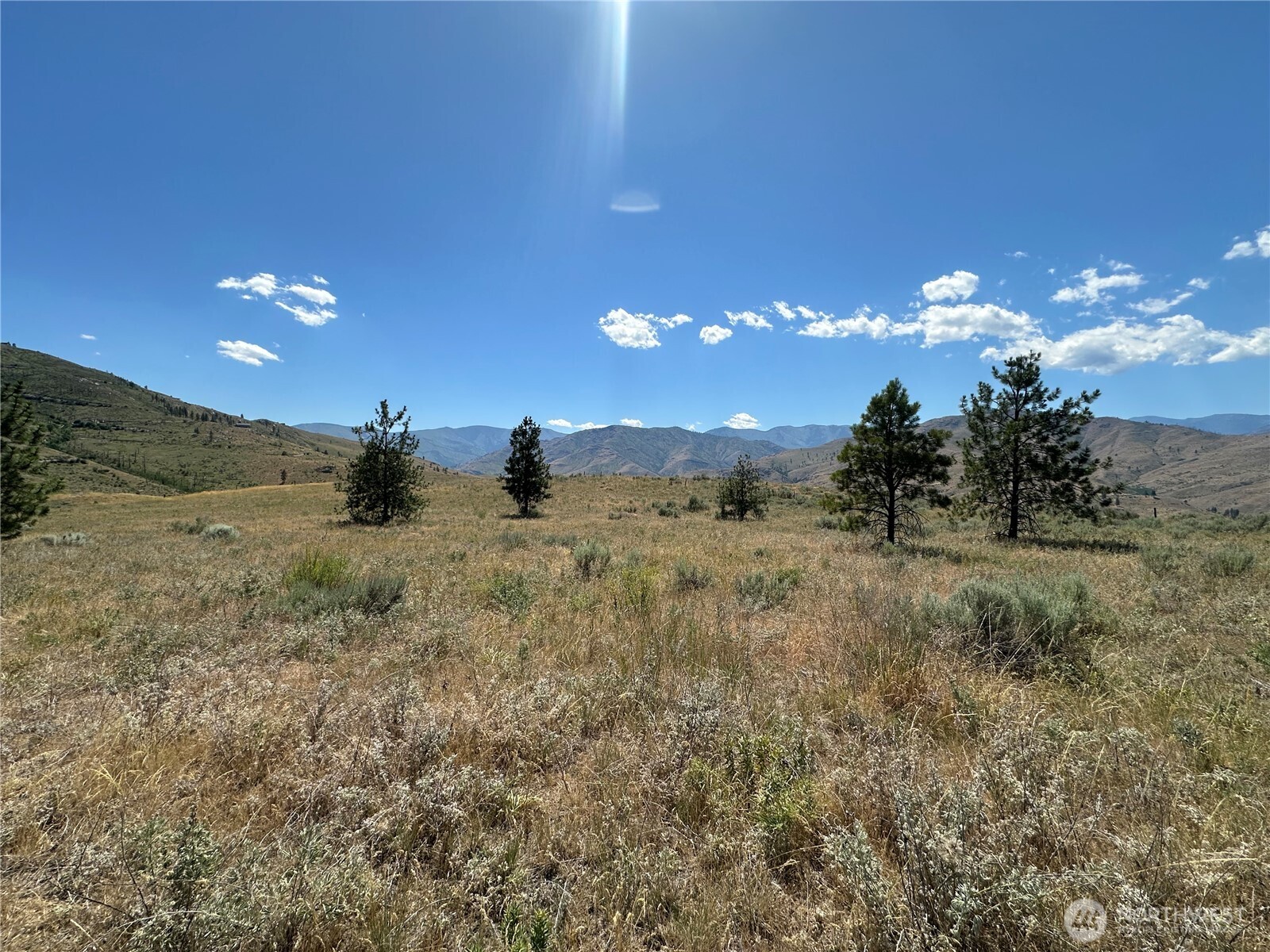 -tbd Peterson Rnch Road Pateros, WA 98846 - Photo 3 of 20 a view of a dry yard with trees
