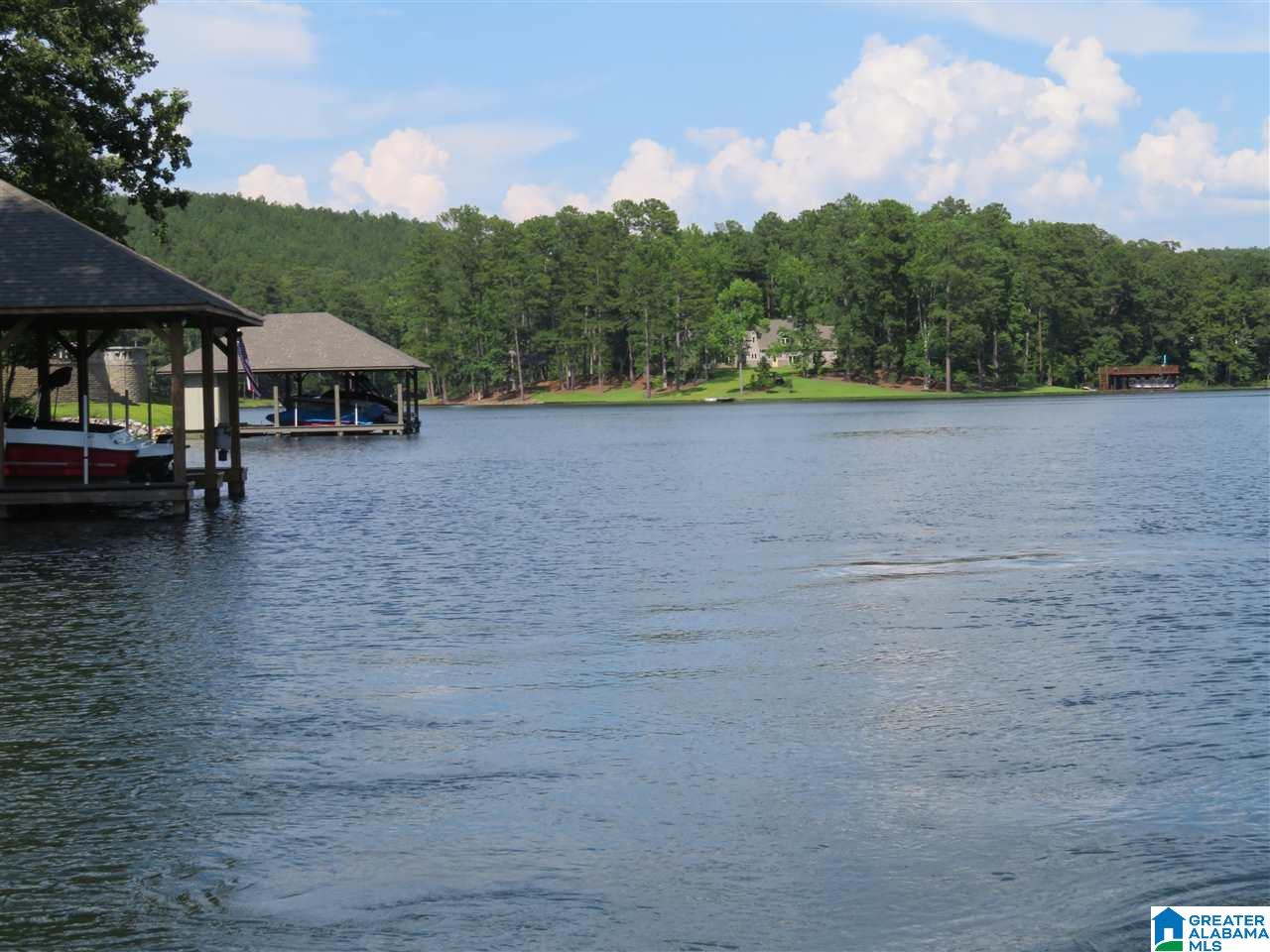 1100 Preserve Road Rockford, AL 35136 - Photo 12 of 18