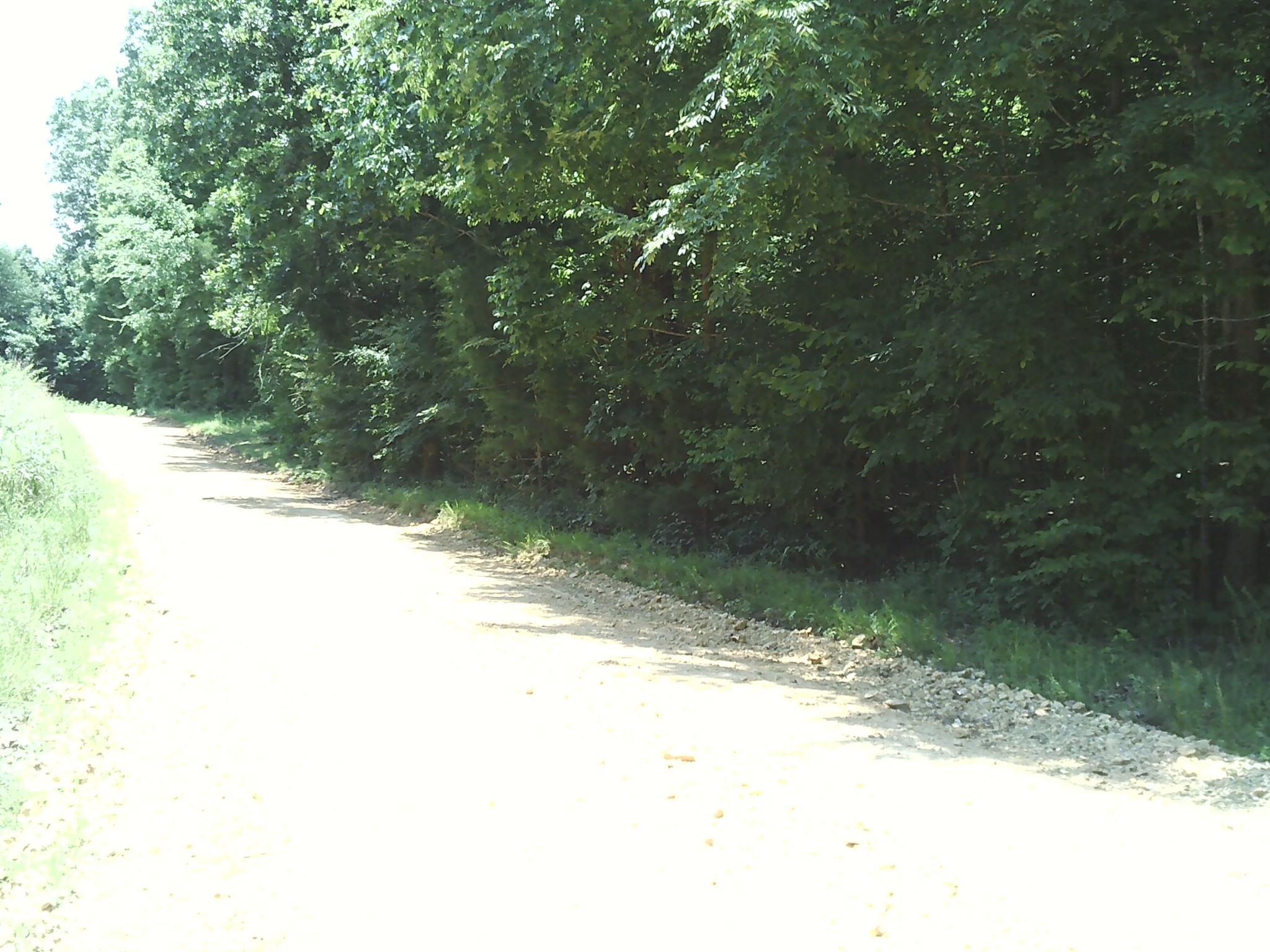 0 Hargis Road Bumpus Mills, TN 37028 - Photo 2 of 6