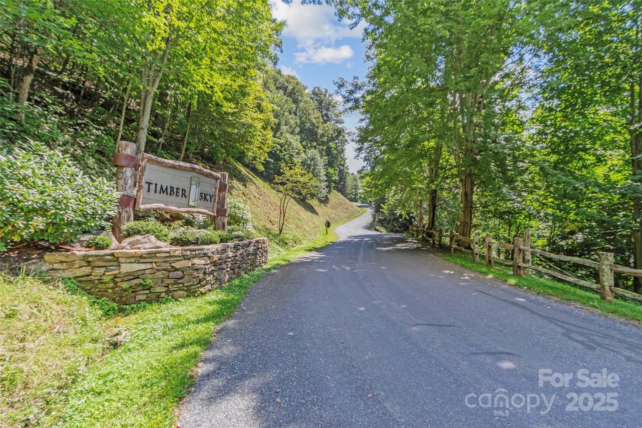 Lot 9 Wormy Chestnut Road Apex, NC 27523 - Photo 1 of 16 a view of a yard with plants and large trees