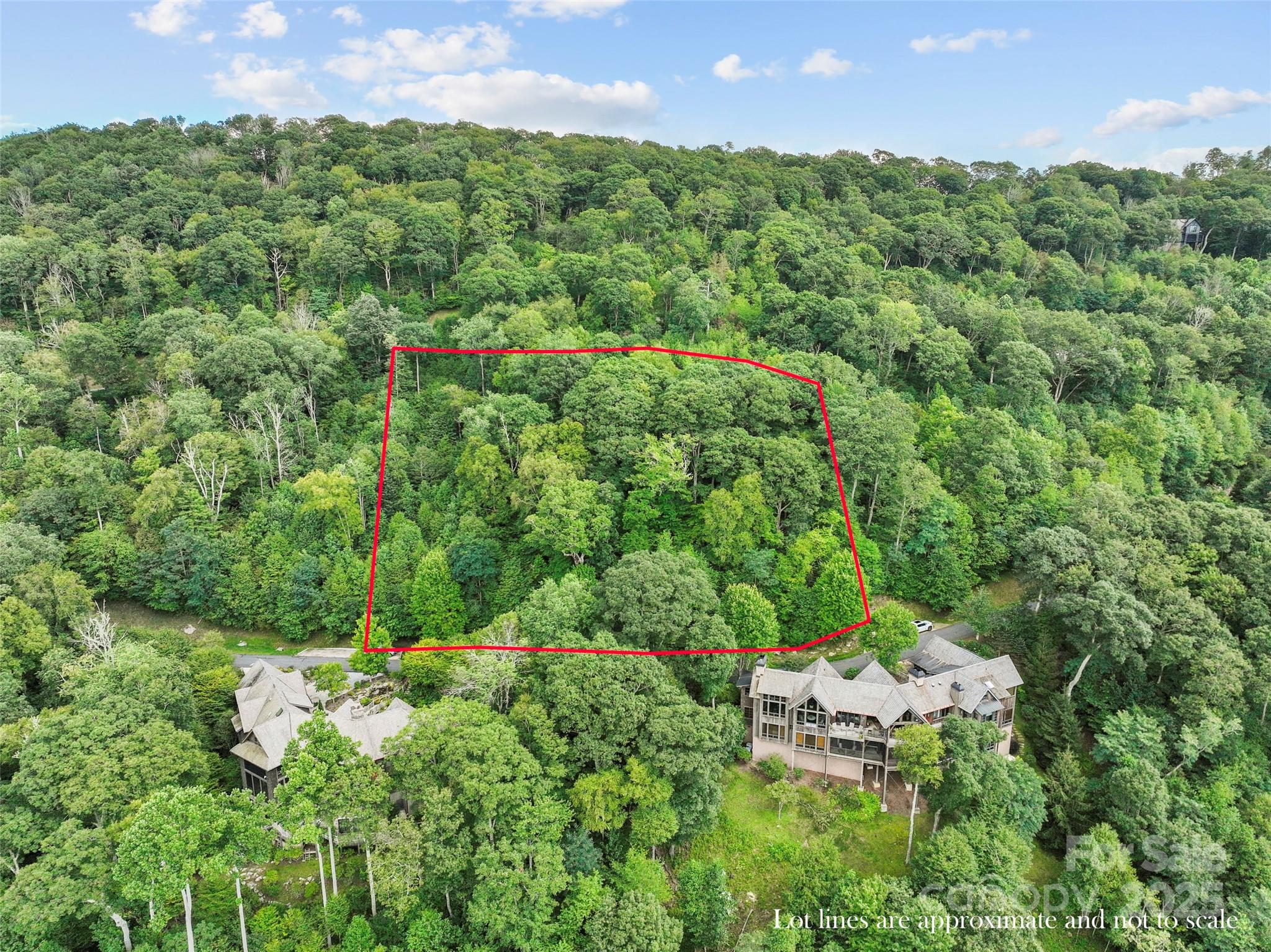 Lot 9 Wormy Chestnut Road Apex, NC 27523 - Photo 12 of 16 an aerial view of a houses with a yard and lake