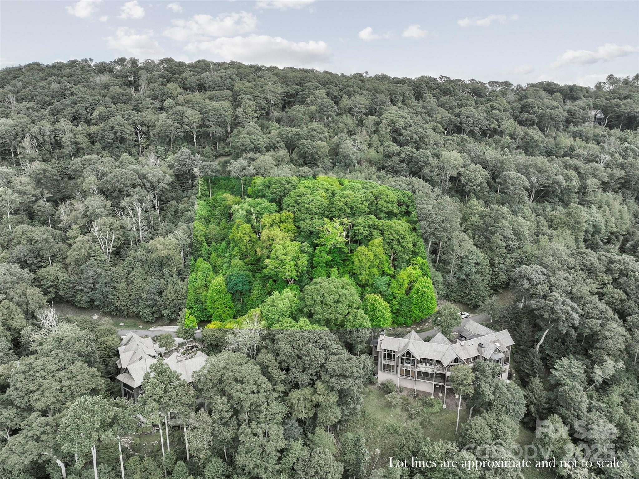 Lot 9 Wormy Chestnut Road Apex, NC 27523 - Photo 13 of 16 a view of a forest with a street