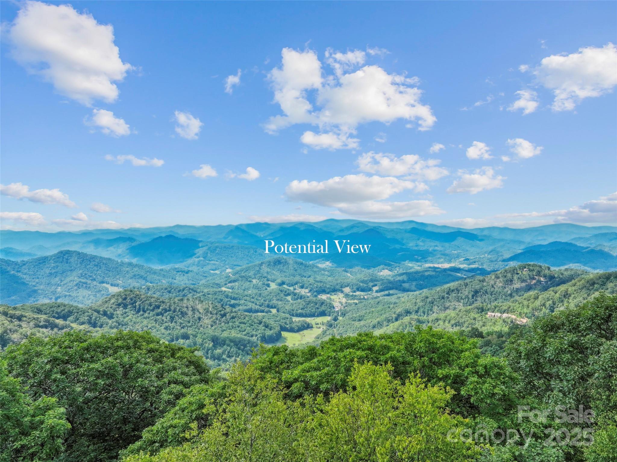 Lot 9 Wormy Chestnut Road Apex, NC 27523 - Photo 2 of 16 a view of a city