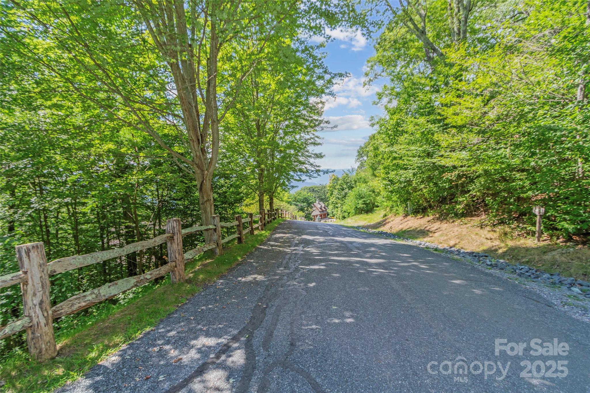 Lot 9 Wormy Chestnut Road Apex, NC 27523 - Photo 4 of 16 a view of a yard with plants and a trees