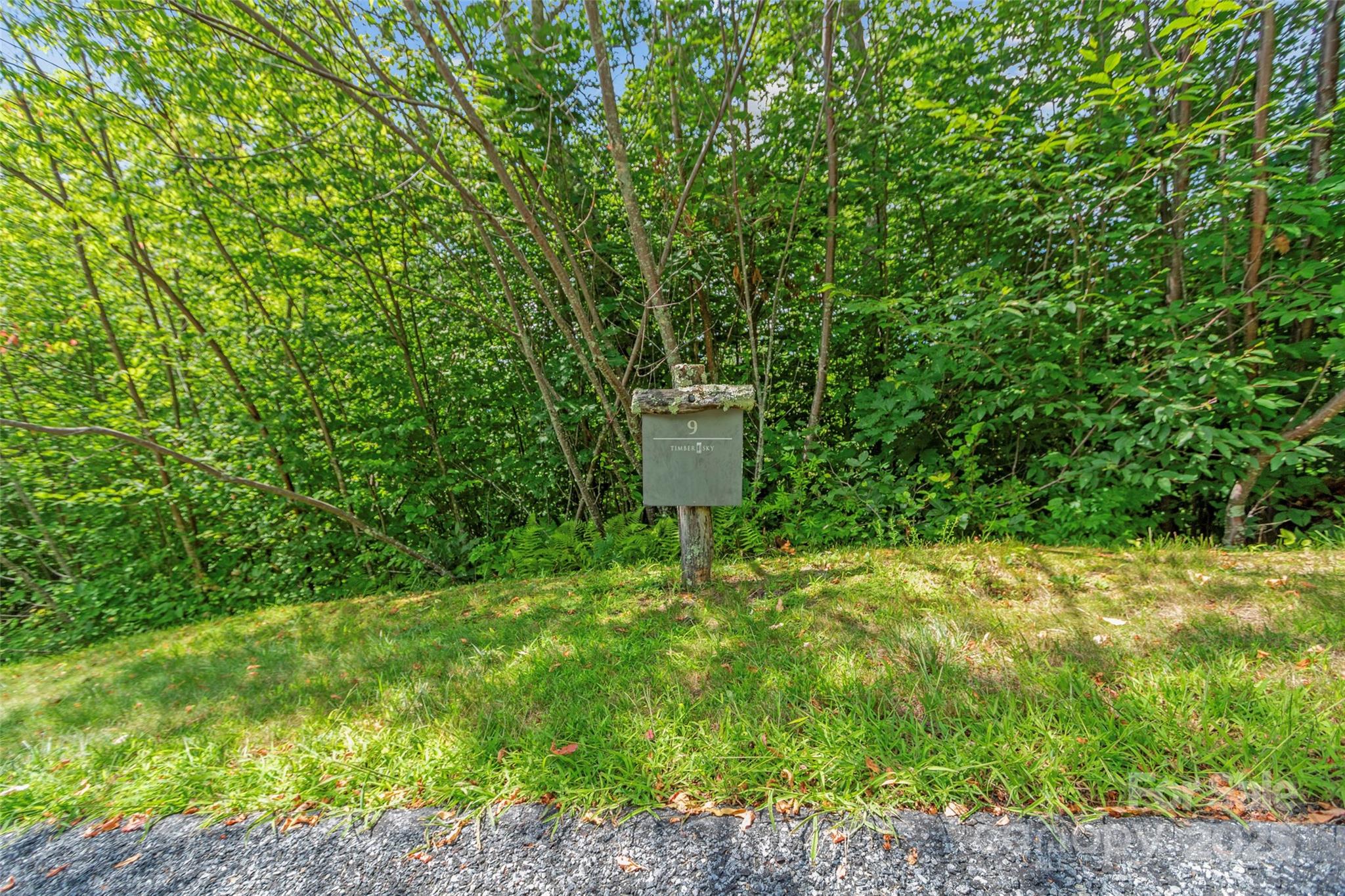Lot 9 Wormy Chestnut Road Apex, NC 27523 - Photo 7 of 16 a backyard of a house with lots of green space