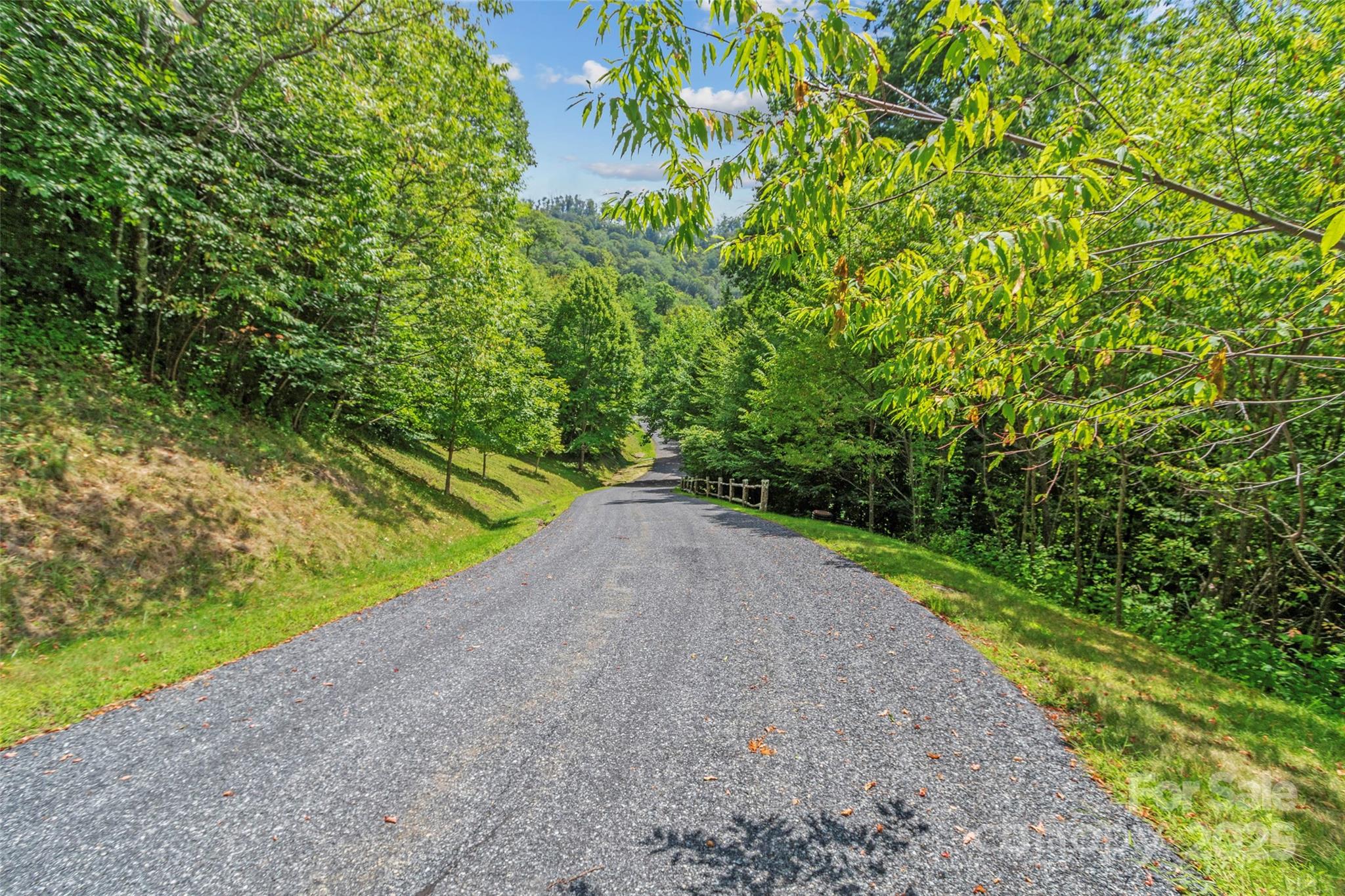 Lot 9 Wormy Chestnut Road Apex, NC 27523 - Photo 8 of 16 a view of a street with a yard